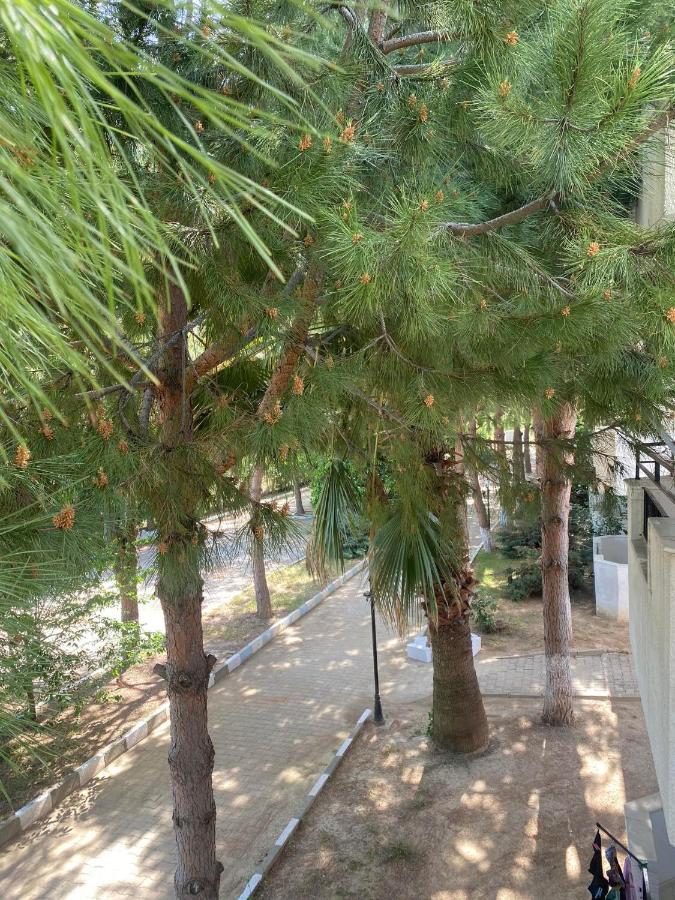Palm Club Apart Otel Kusadasi Exterior photo